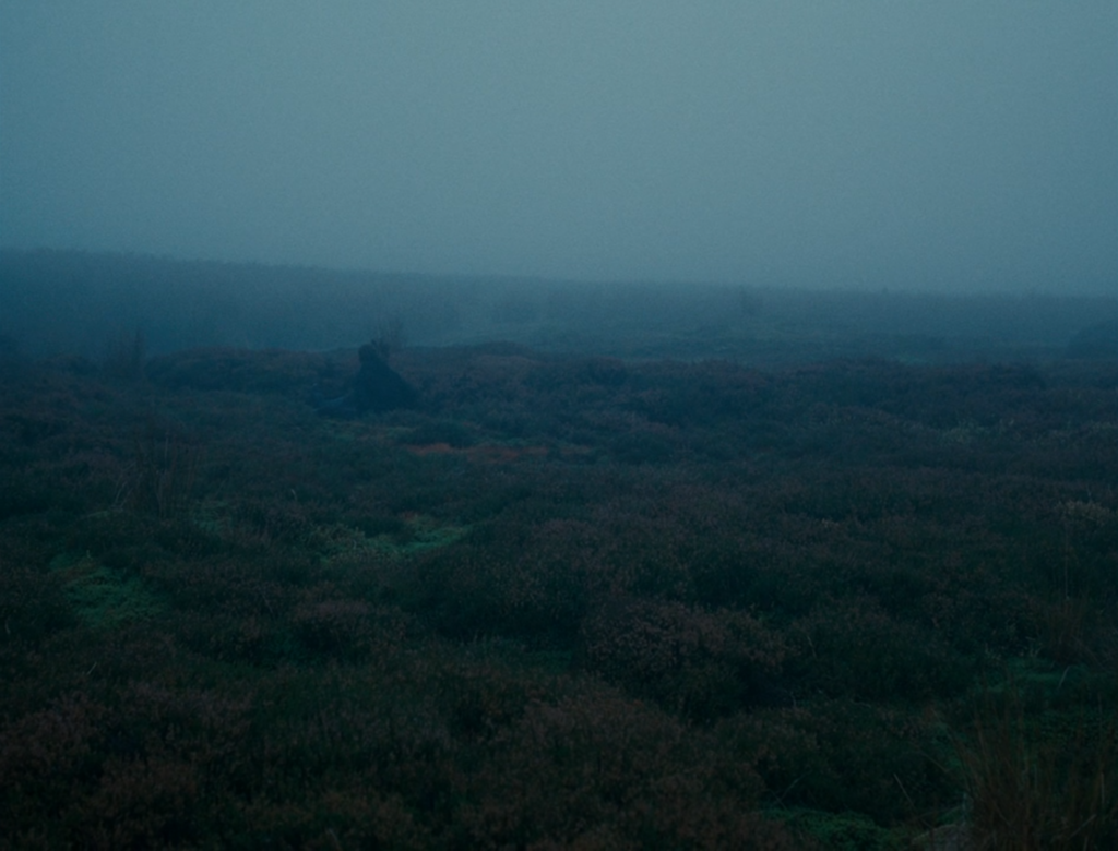 Wuthering Heights (2011) the uncanny connection with nature