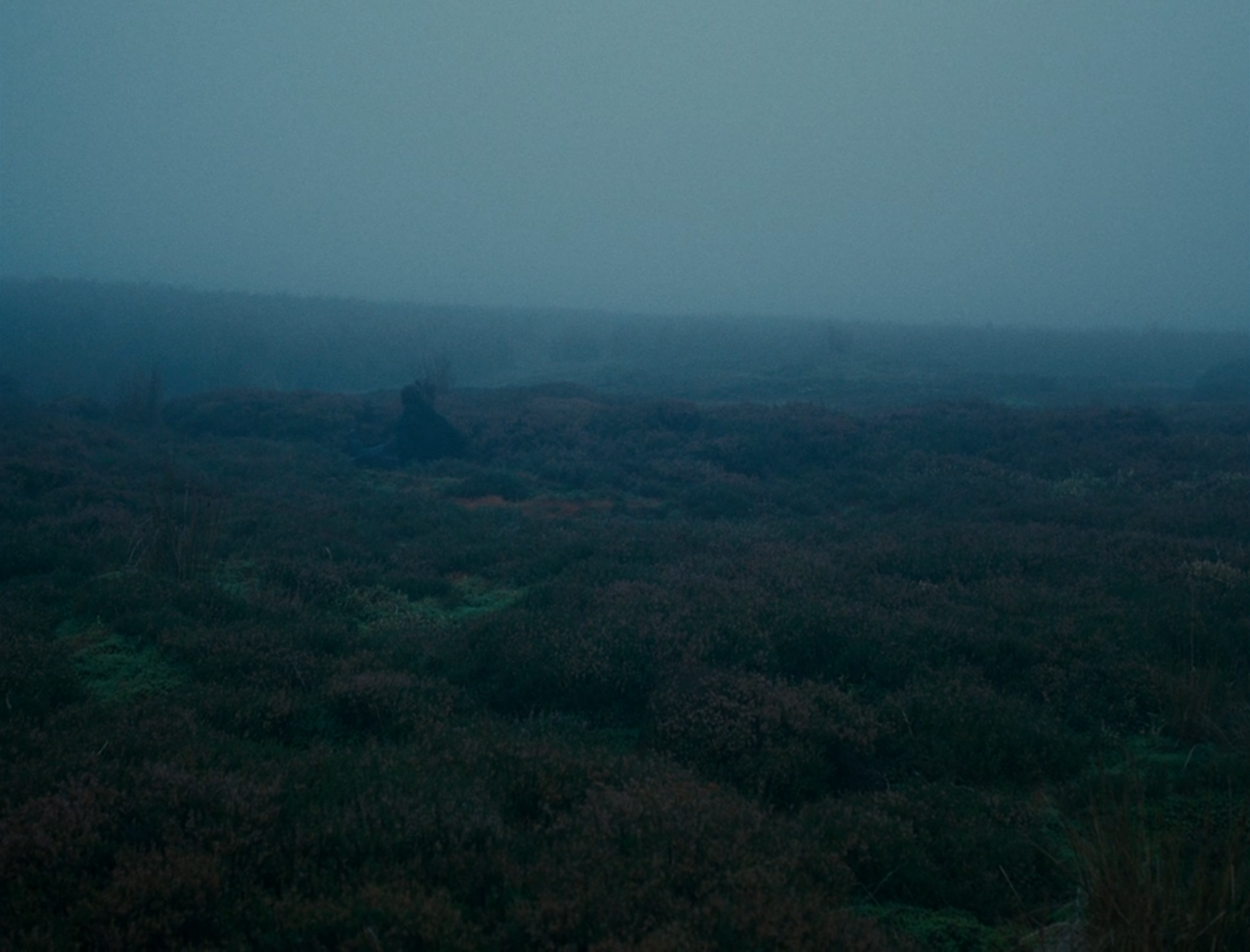 Wuthering Heights (2011): the uncanny connection with nature